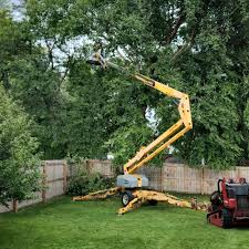 Best Utility Line Clearance  in Heritage Lake, IL